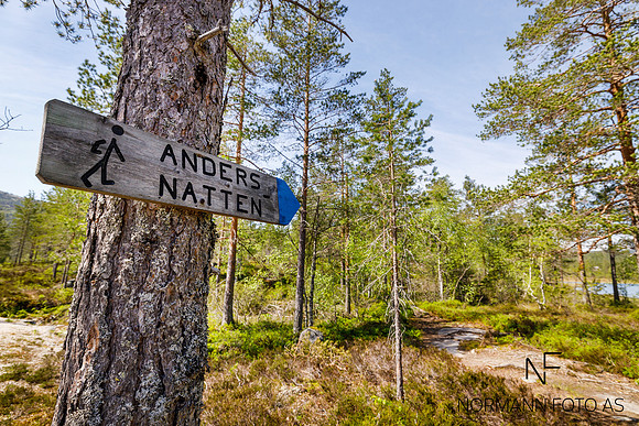 Andersnatten_sigdal (1)