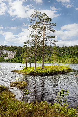 Dukelivatn_Eggedal (4)