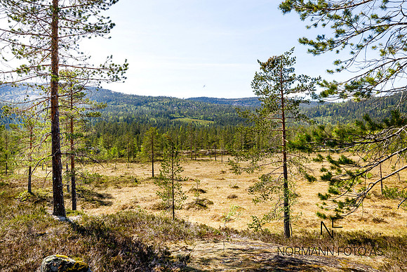 Andersnatten_sigdal (3)