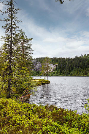 Dukelivatn_Eggedal (2)