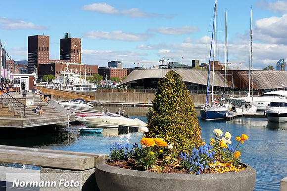 Oslo_akerbrygge(000026