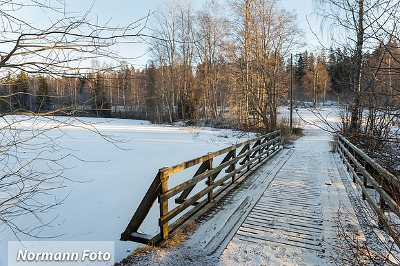 Damtjern turomeråde Lier47