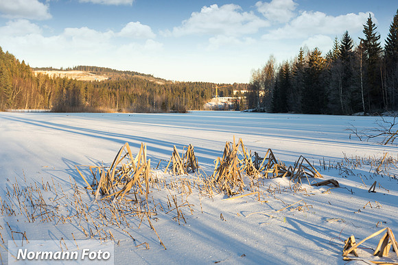 Damtjern turomeråde Lier481