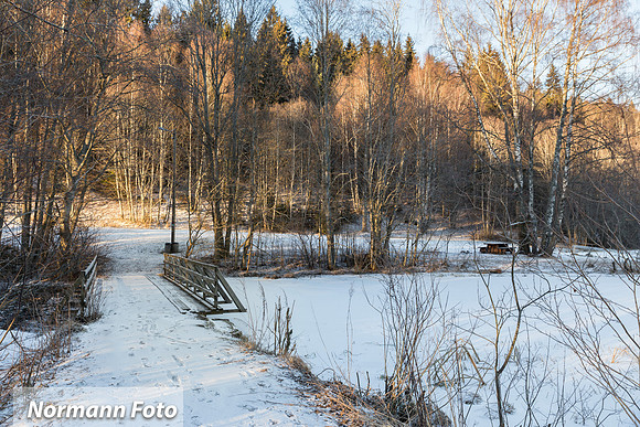 Damtjern turomeråde Lier43